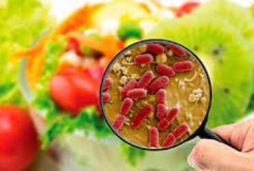 Unveiling the Intricacies of Food Microbiology: Safeguarding Our Plates