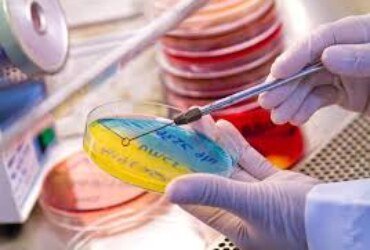 Unraveling the Mysteries of Medical Microbiology: Protecting Public Health